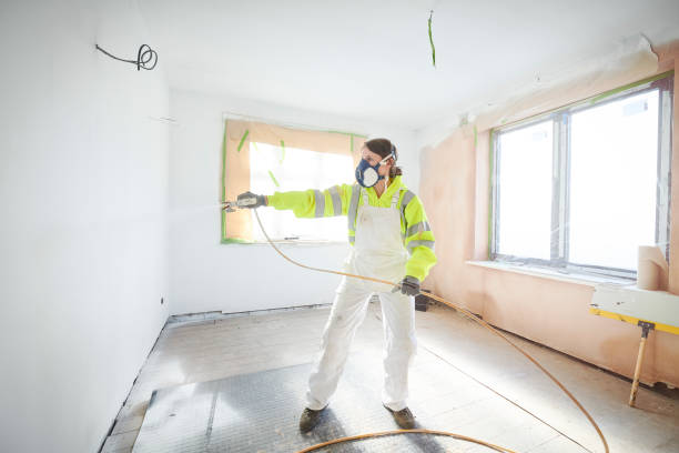 Robins Af, GA Mold Removal Company