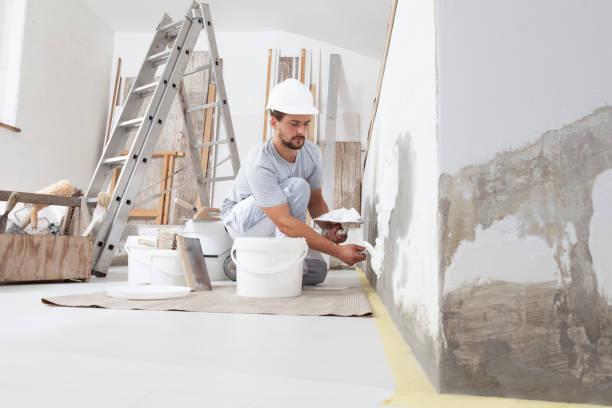 Best Basement Mold Removal  in Robins Af, GA