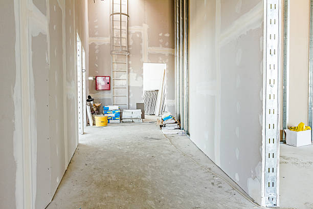  Robins Af, GA Mold Removal Pros